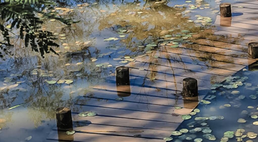 팜카밀레수국축제