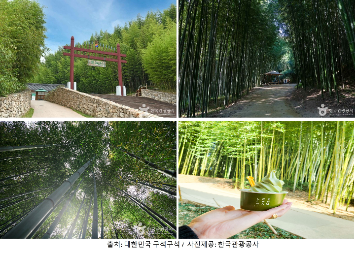 죽녹원 사진입니다.
죽녹원은 대나무 숲 공원을 말 합니다.