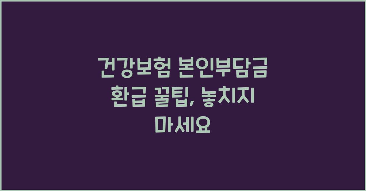 건강보험 본인부담금 환급 꿀팁