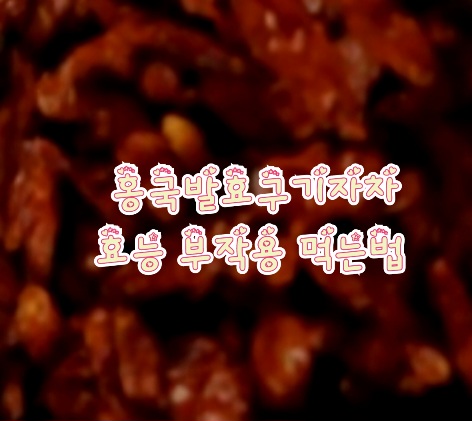 진도-홍국발효구기자차-효능