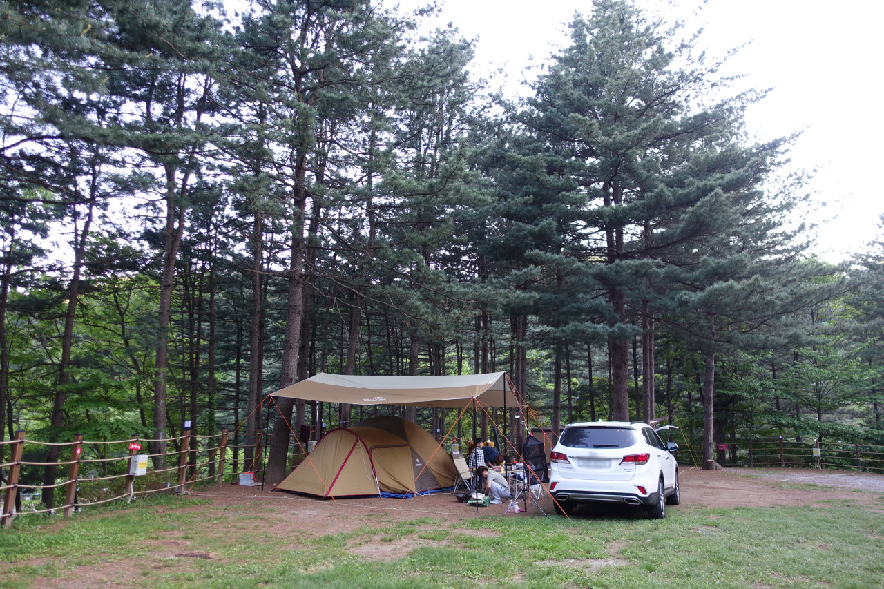 힐링별밤수목원캠핑장_외부