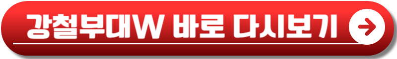 강철부대W 재방송