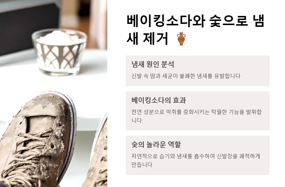 베이킹소다와 숯으로 냄새 제거