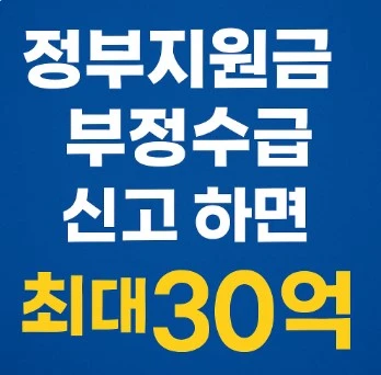 교육 정부지원금 부정수급 최대 30억 보상