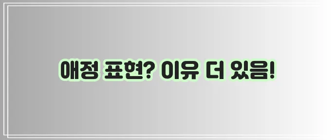 강아지가 주인 손을 핥는 이유를 알아봅시다!