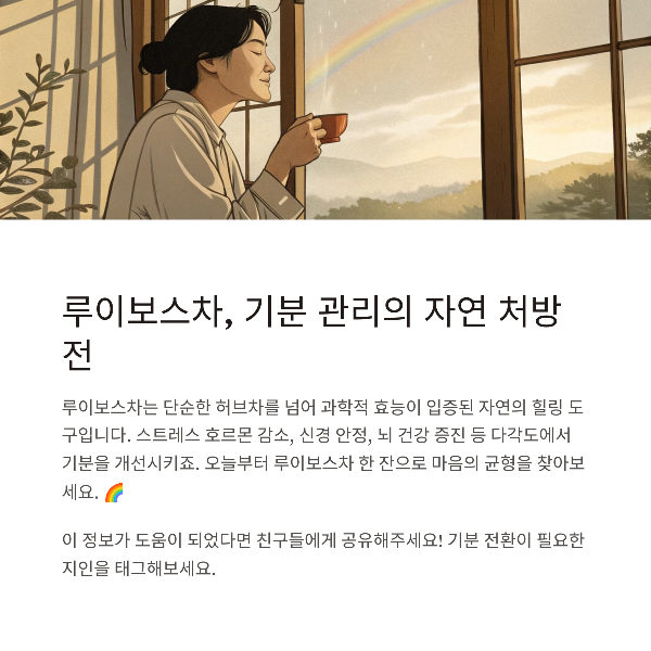 루이보스차