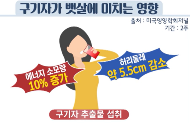 구기자 효능