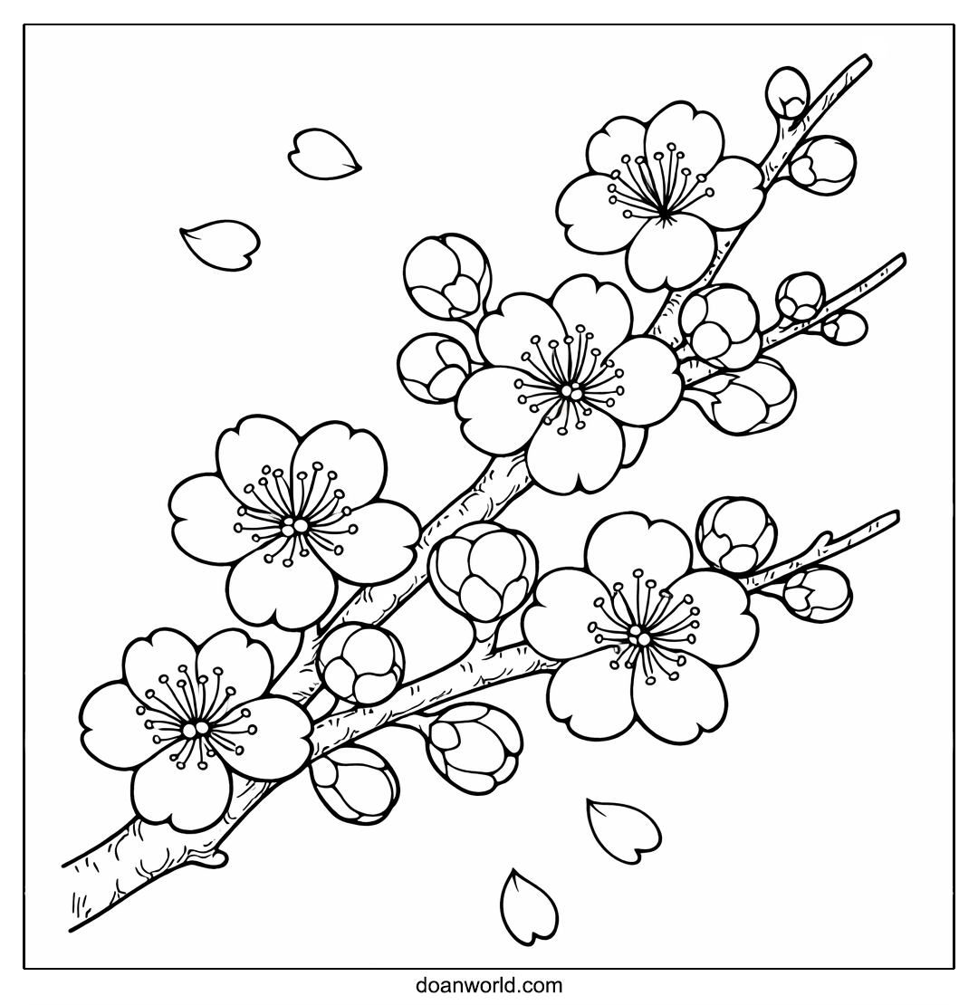 매화 색칠공부 도안