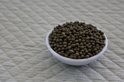 공진단 보관방법