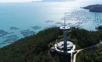 완도 맛집 베스트10 숨겨진 남도 해산물_3