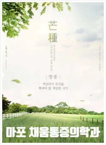 망종 절기 망종의 뜻 전통음식 매실청 담그기_20