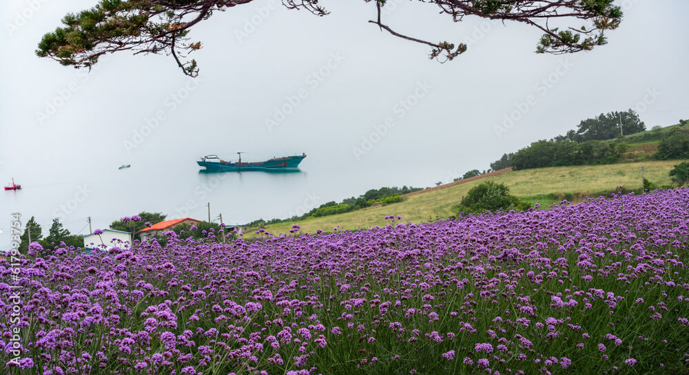 5월에도 사람 적은 국내 조용한 힐링 여행지 TOP 5
