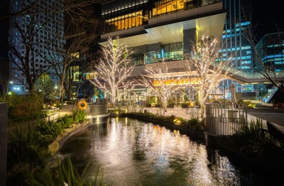 나무에 노란빛의 조명이 장식되어 있다.