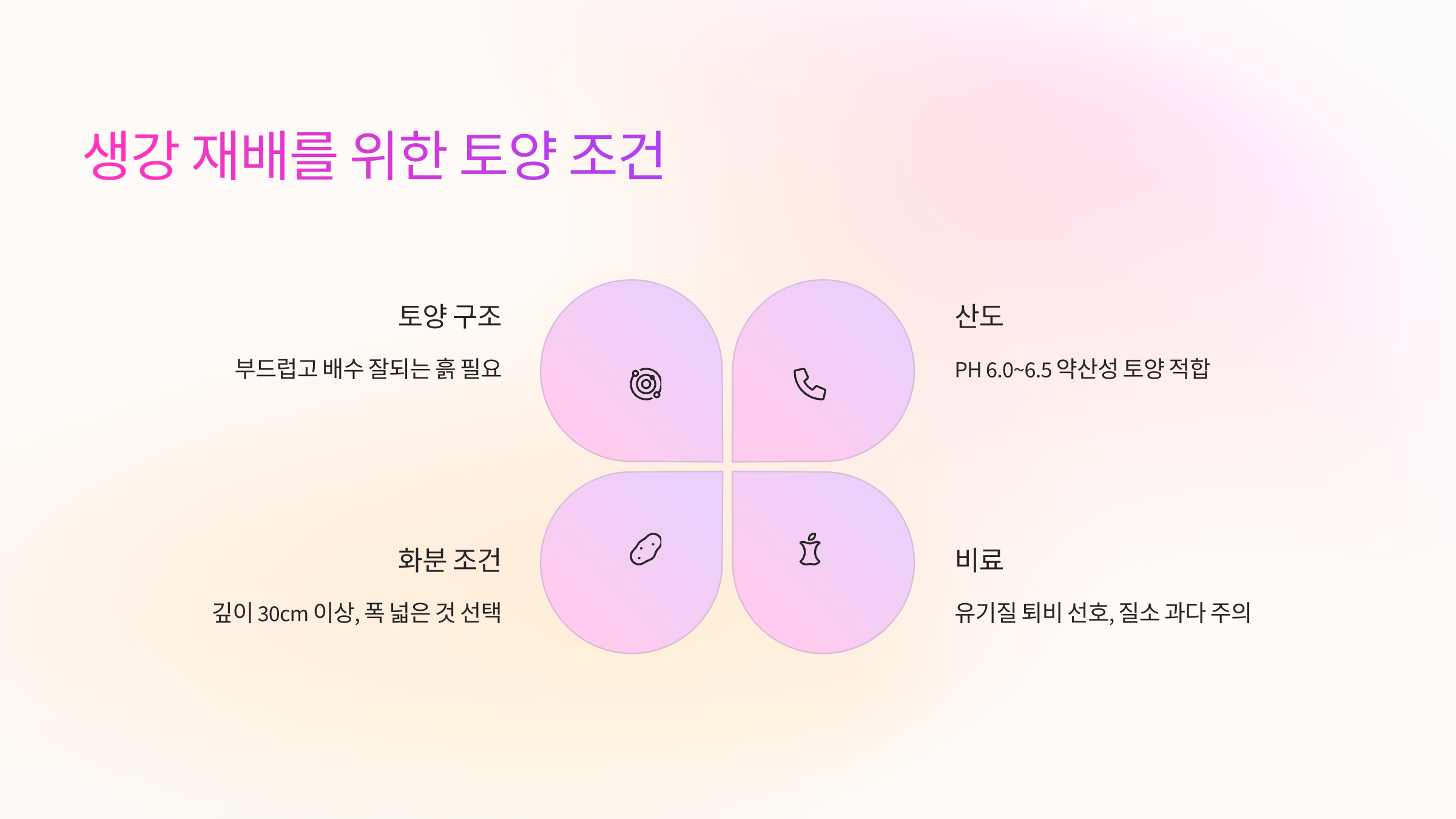 🌾 생강 재배를 위한 토양 조건