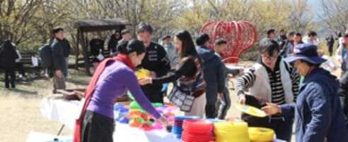 구례 산수유축제