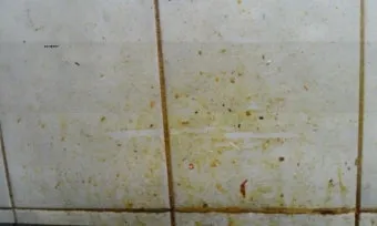 주방 기름때 제거 베이킹소다 주방세제 전자레인지 후드 필터 청소_3