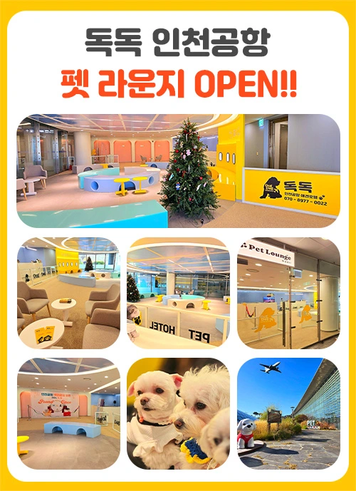 인천공항 펫 라운지 독독 애견 호텔링 소개 위치 이용 예약 방법 위탁 서비스