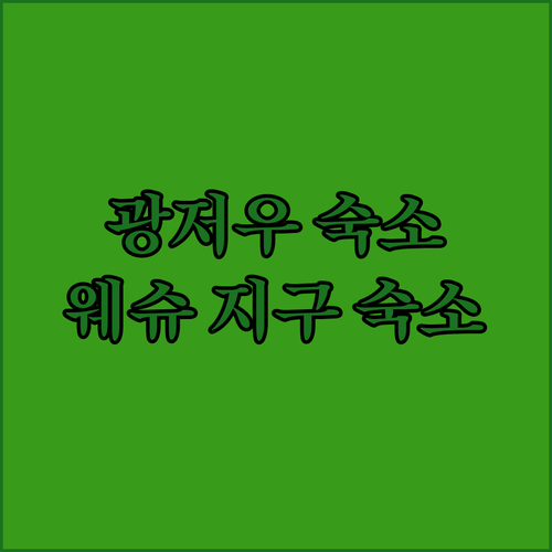 광저우 여행객 필독! 웨슈 지구의 W