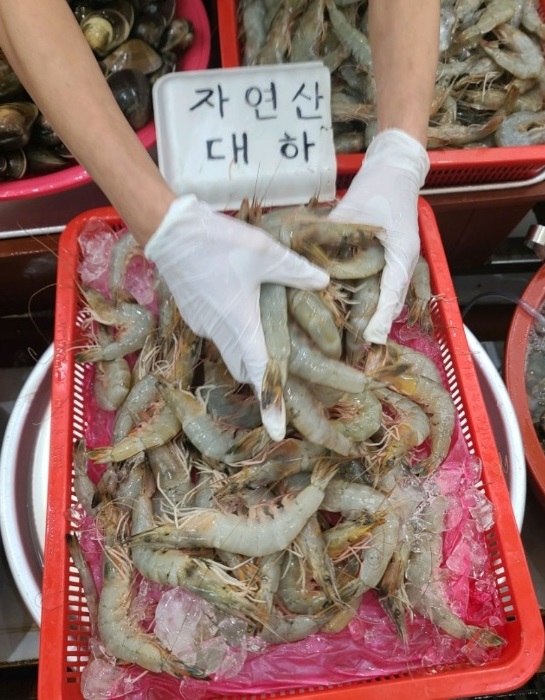 백반기행-서천-태진아-재래시장-서천특화시장