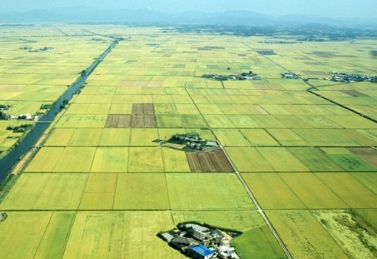 농지임대차계약서 작성법 완벽 가이드 - 농어촌공사 표준계약서 활용법