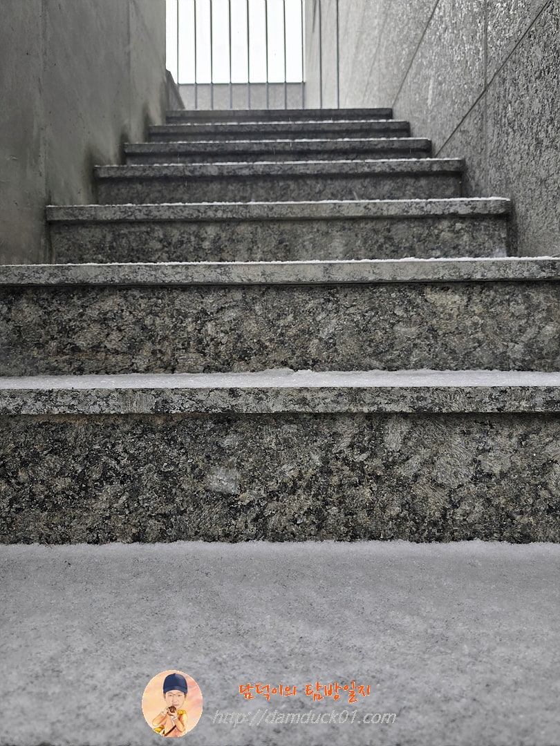 2026년 1월 12일 월요일