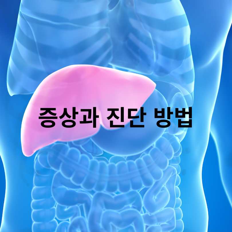 비알콜성 지방간 원인과 간수치 상승의 관계