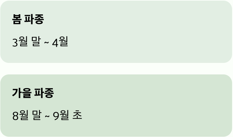 씨앗 뿌리기, 딱 좋은 시기는?