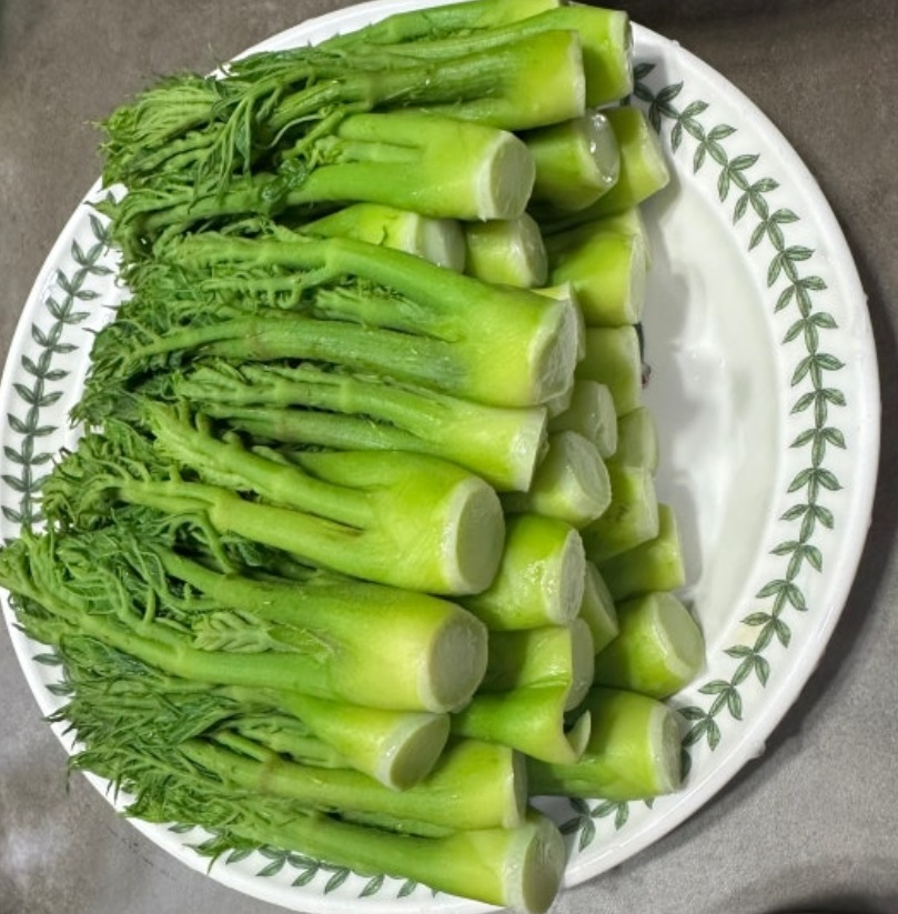 고흥-참두릅-현각