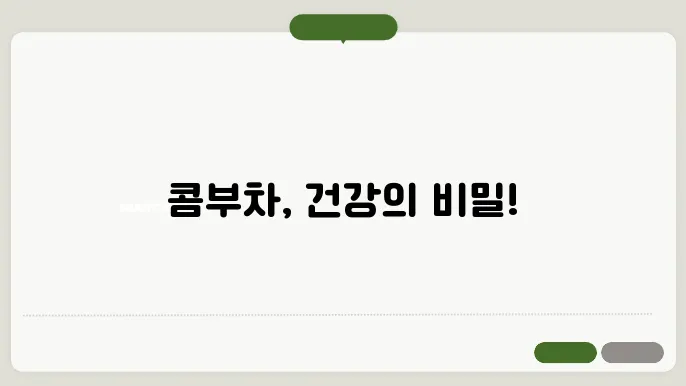 콤부차 추천