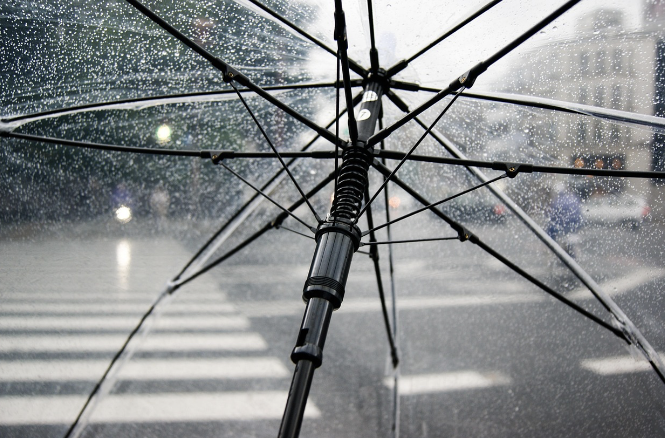 우산은 원래 권력의 상징이었다?