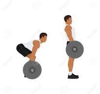 바벨 데드리프트