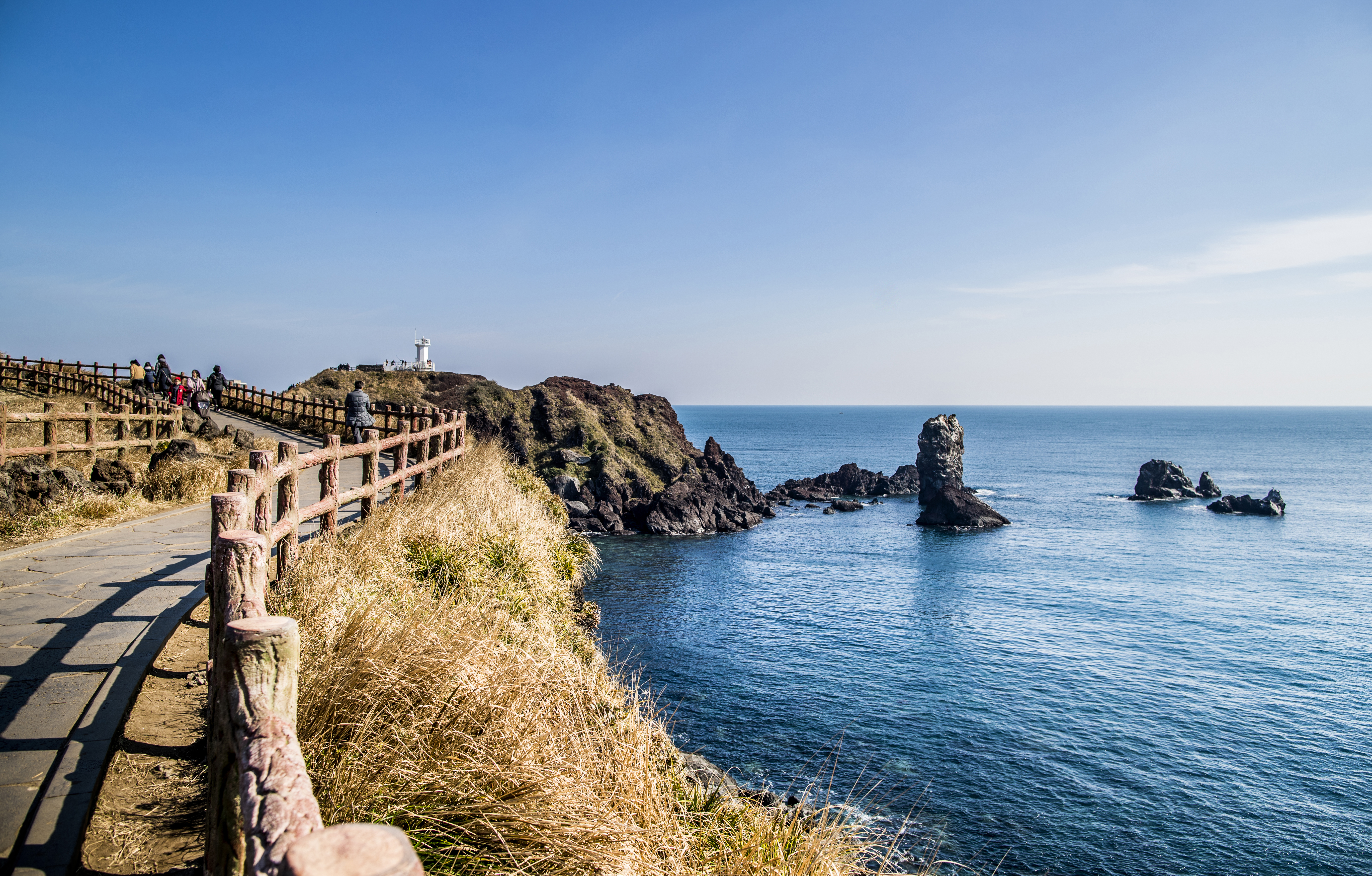 제주도 섭지코지