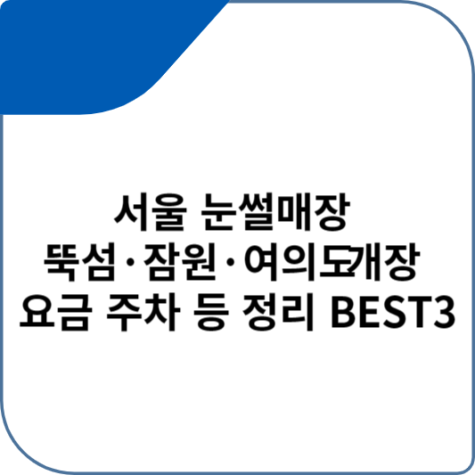 서울 눈썰매장 뚝섬·잠원·여의도 개장 요금 주차 등 정리 BEST3