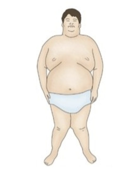 거북유방단 짤