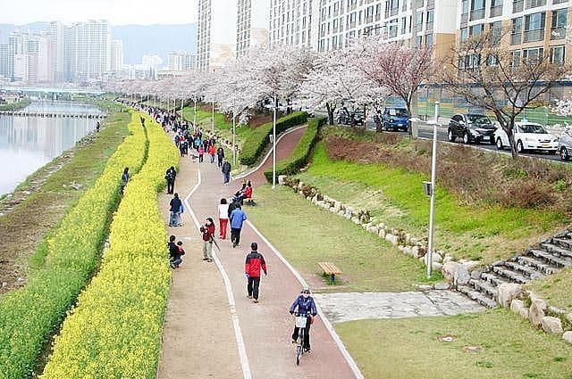 온천천