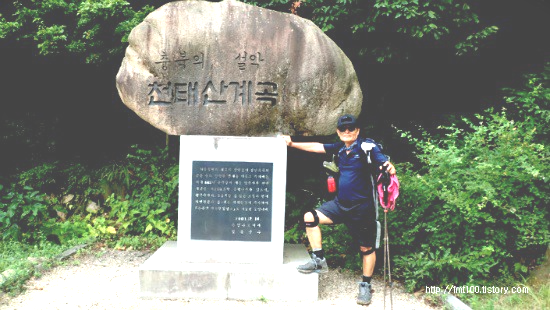 사람의 자세(포즈)