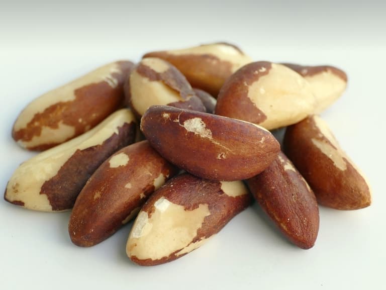 셀레늄과 면역력