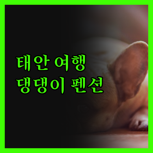 반려견과 함께 떠나는 태안 여행! 구