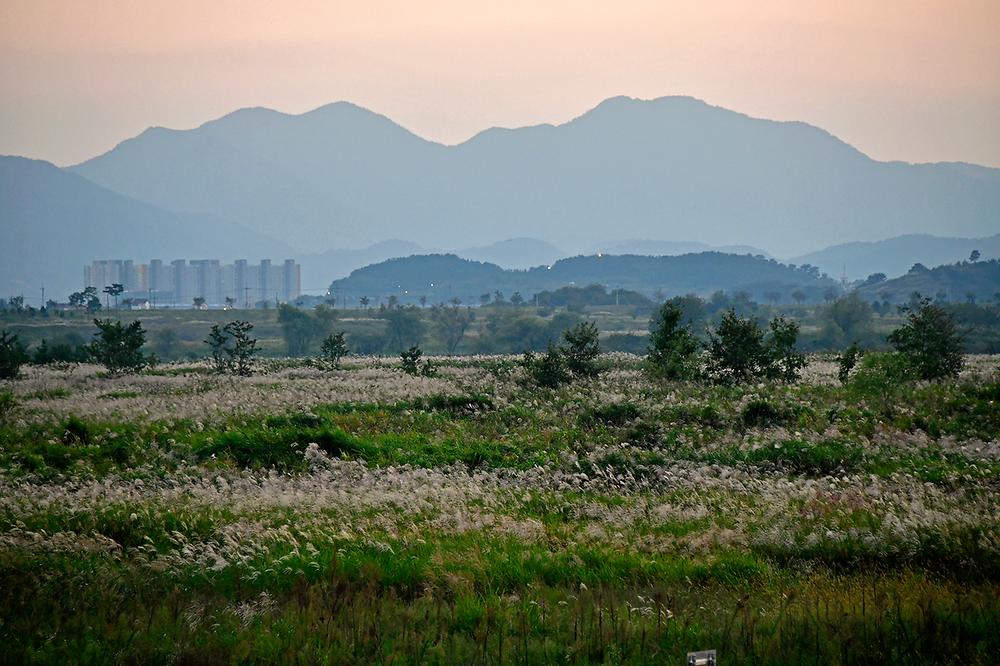 경남 밀양아리랑 오토캠핑장 소개