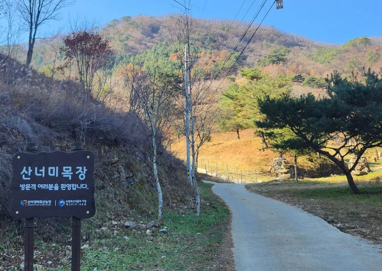 평창군 산너미목장 캠핑장 소개