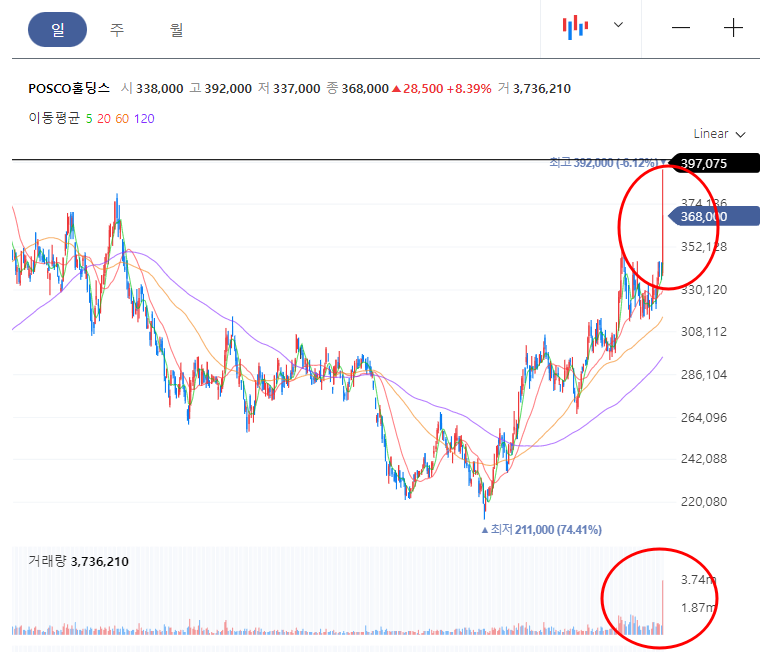 포스코홀딩스 일봉차트
