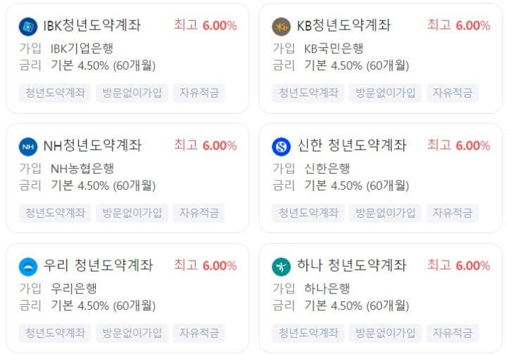 2025 청년도약계좌