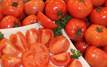 대저 토마토 짭잘이 토마토 품종 및 키우기 효능 먹는법