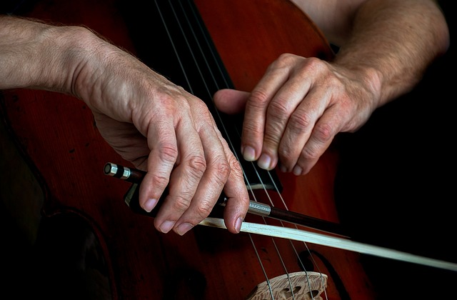 첼로의 기원과 변천사