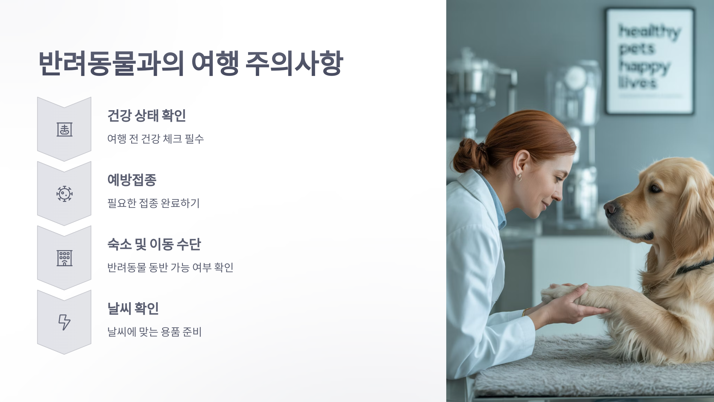 참조-반려동물과-나들이-4