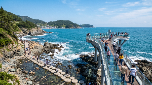 부산 핫플레이스! 지금 가장 인기 많은 여행지 추천