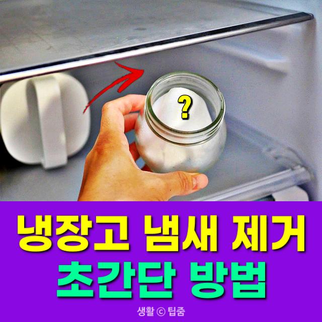 냉장고 냄새제거,음식 쓰레기 냄새 제거,팁줌