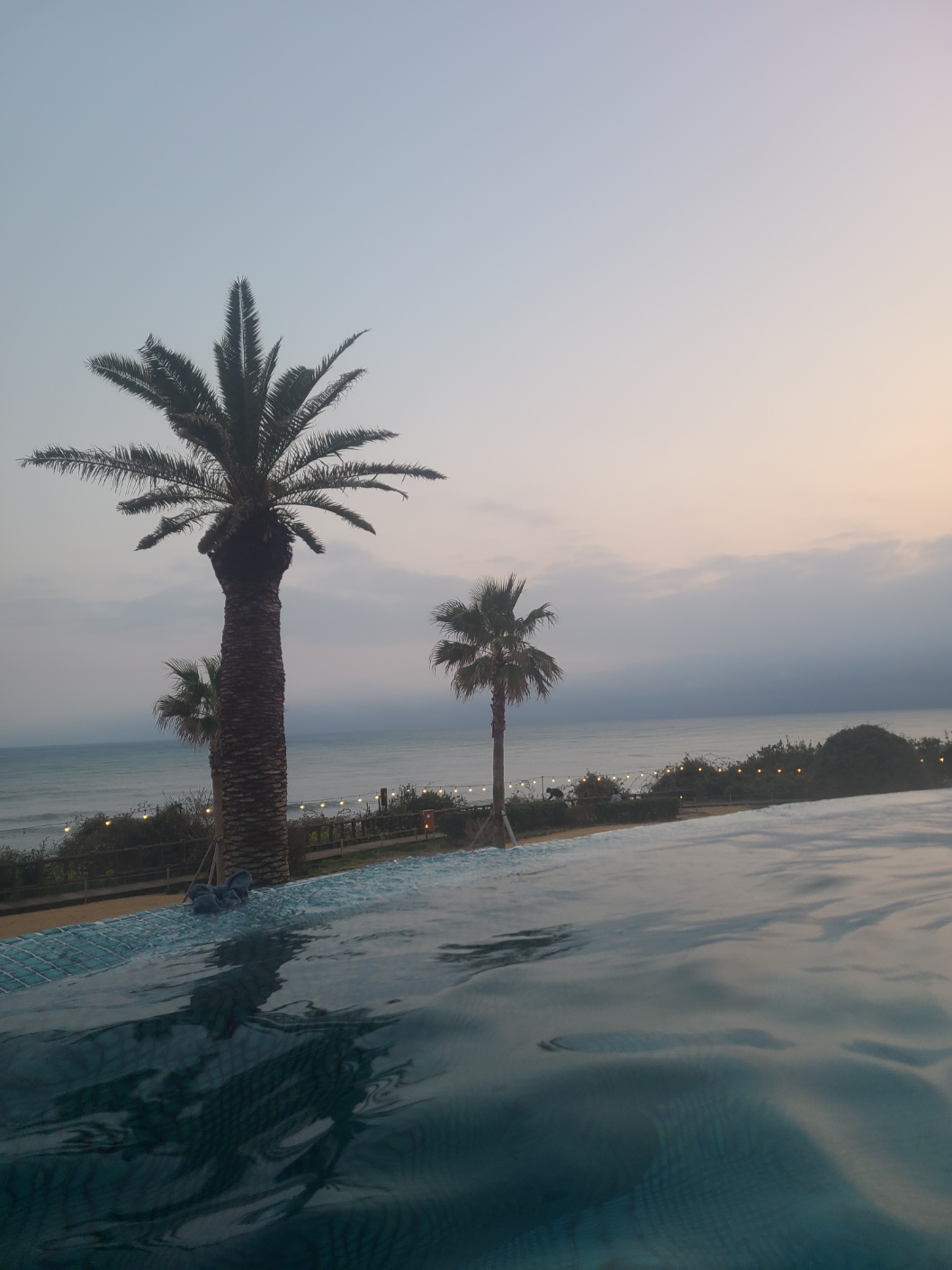 제주 여행 파르나스 호텔 제주