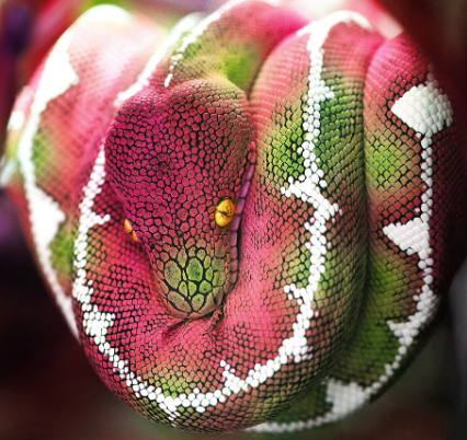 2025년 7월 뱀띠(생년별) 운세