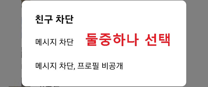 친구 차단 페이지 생김